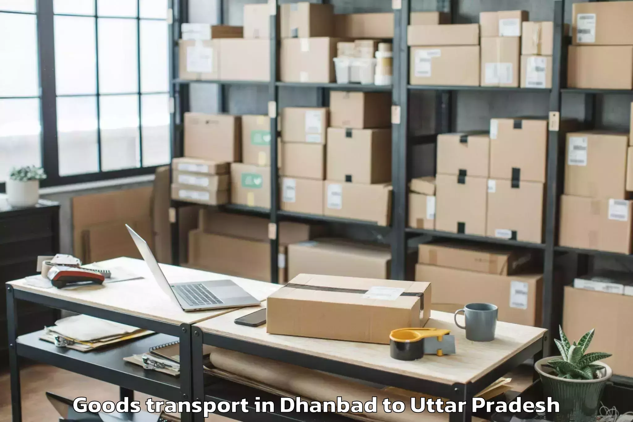 Trusted Dhanbad to Gopiganj Goods Transport